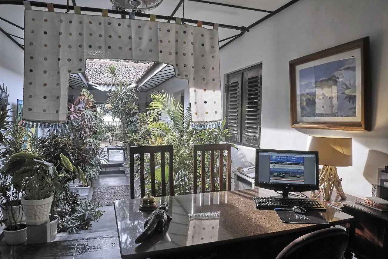 The Icebear Guesthouse Negombo 3*,  Sri Lanka