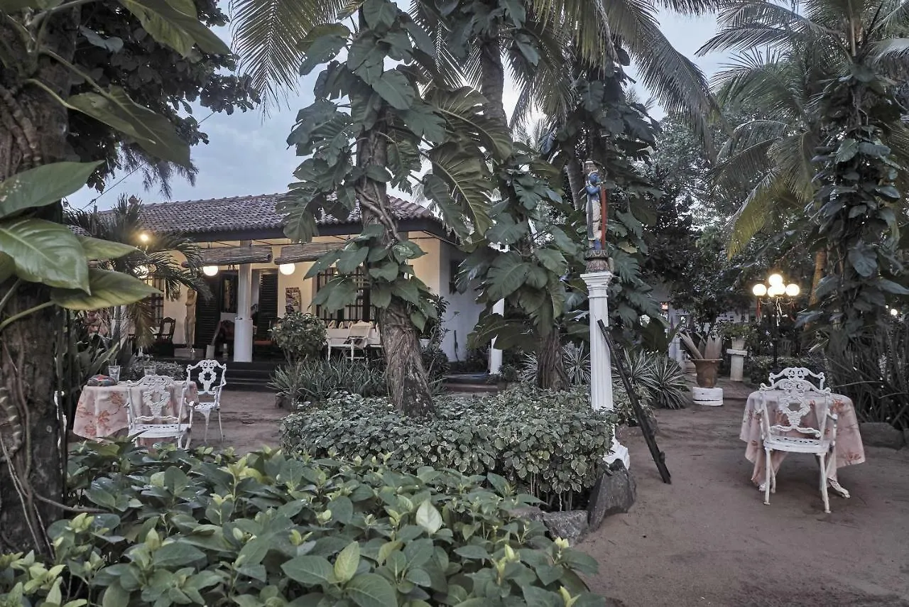 The Icebear Guesthouse Negombo Guest house