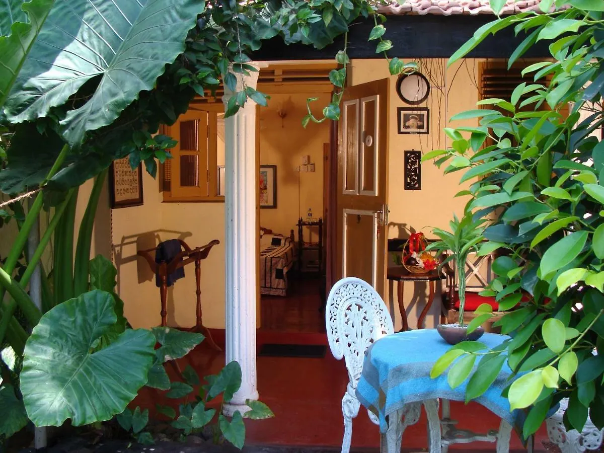 The Icebear Guesthouse Negombo