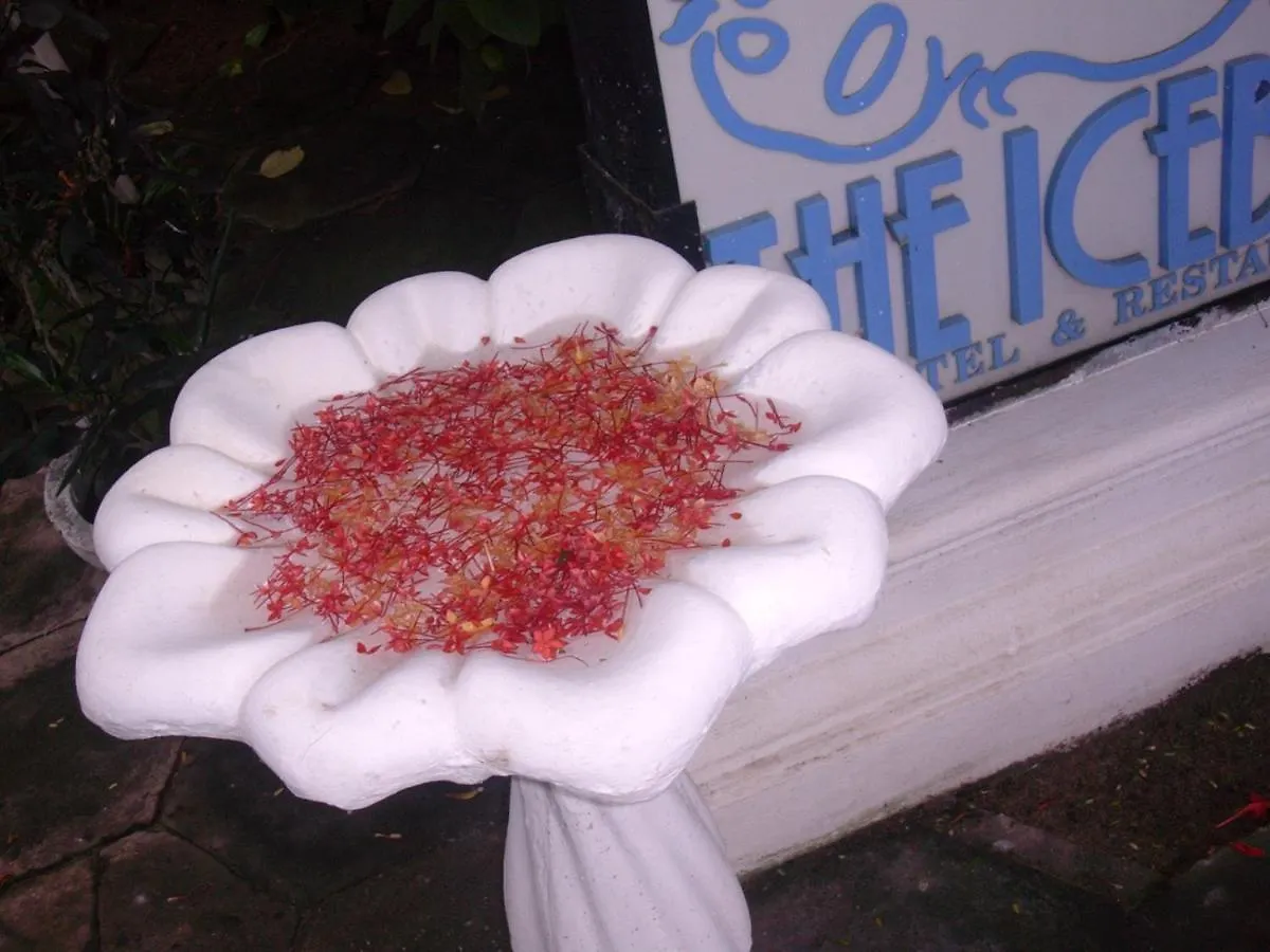 The Icebear Guesthouse Negombo Guest house
