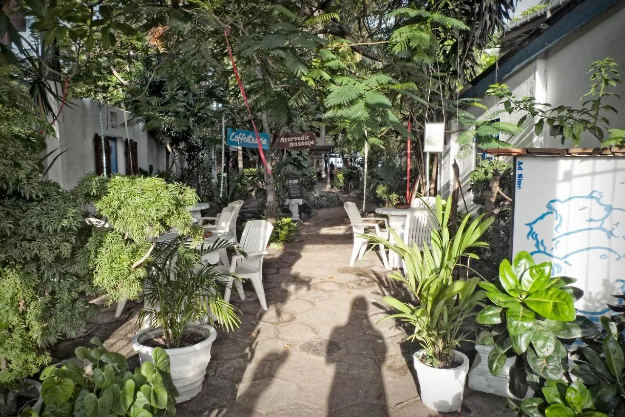 The Icebear Guesthouse Negombo
