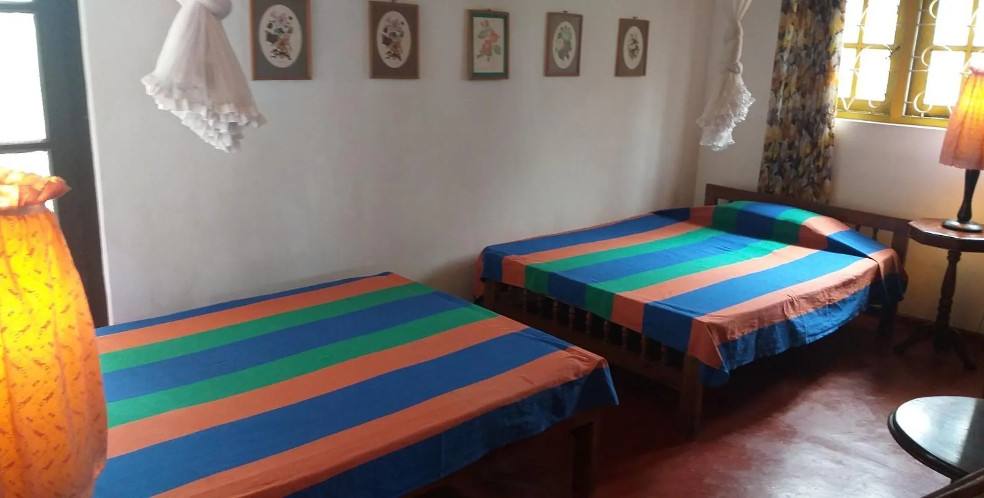 *** Guest house The Icebear Guesthouse Negombo Sri Lanka