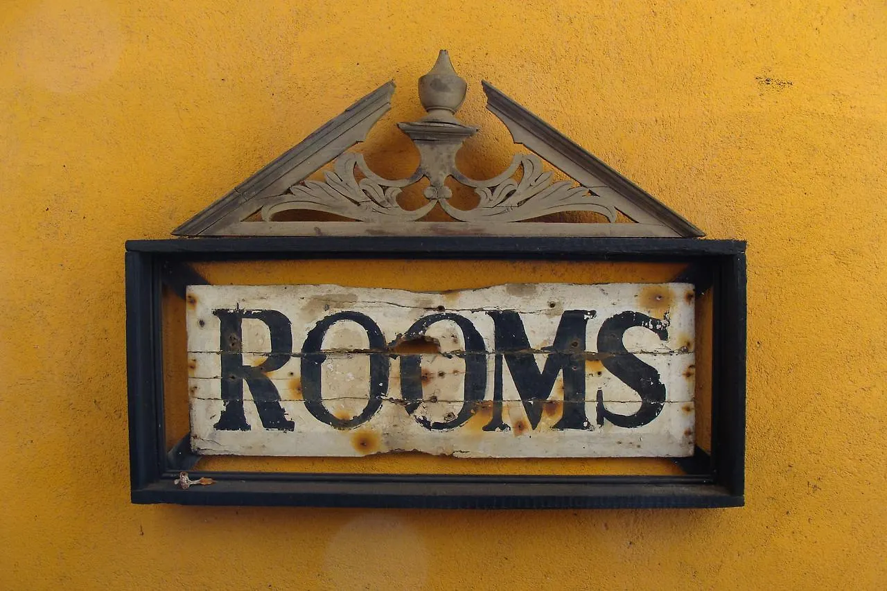 Guest house The Icebear Guesthouse Negombo