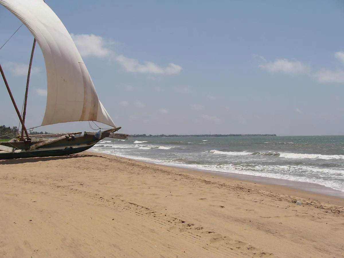 The Icebear Guesthouse Negombo Sri Lanka