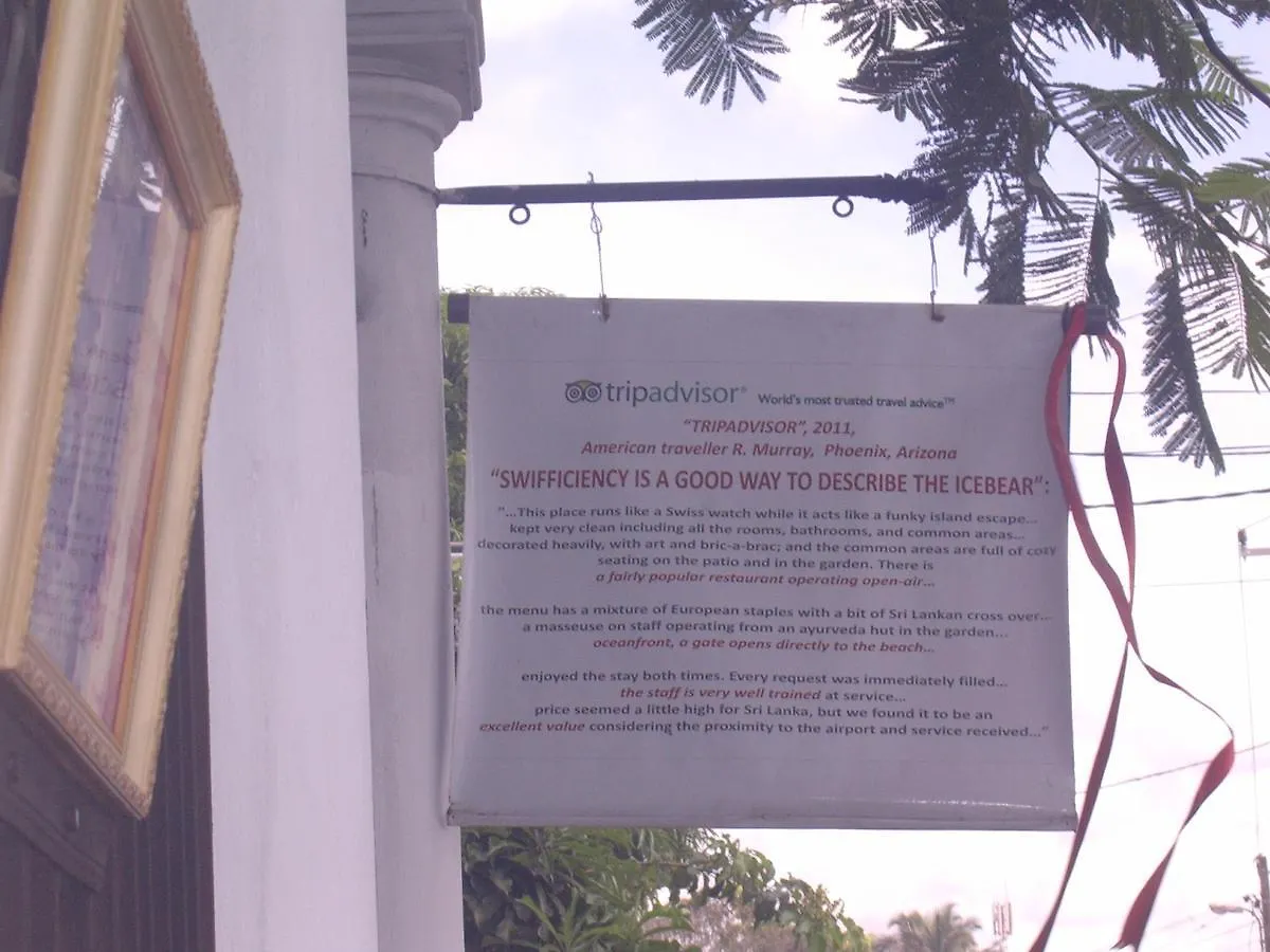 The Icebear Guesthouse Negombo 3*,  Sri Lanka