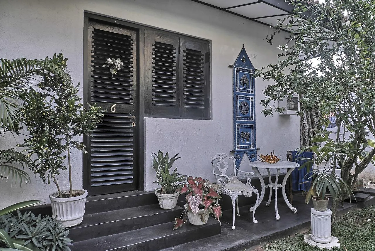 The Icebear Guesthouse Negombo