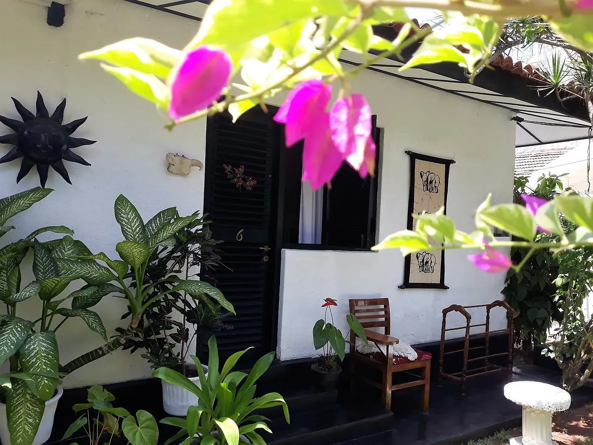 The Icebear Guesthouse Negombo
