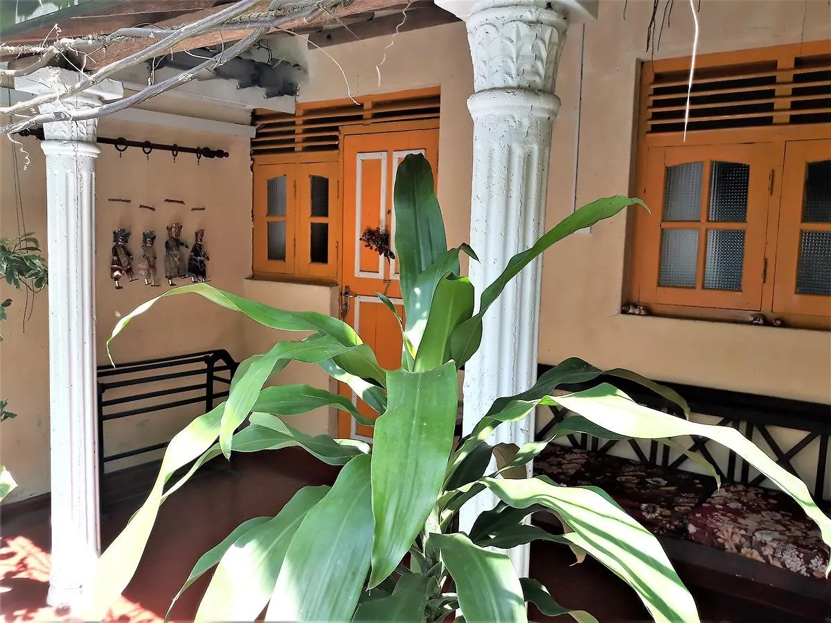 The Icebear Guesthouse Negombo 3*,  Sri Lanka