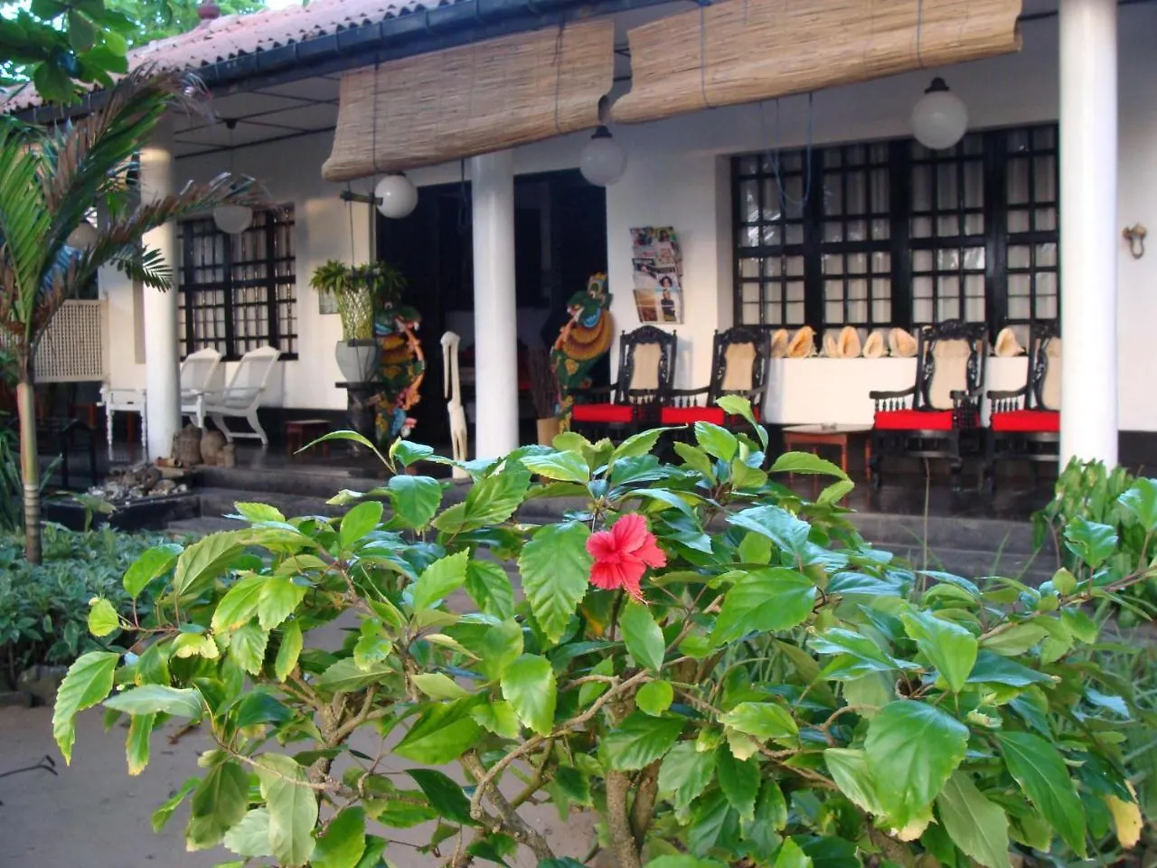 The Icebear Guesthouse Negombo 3*,  Sri Lanka